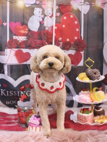 20250227モナカくん